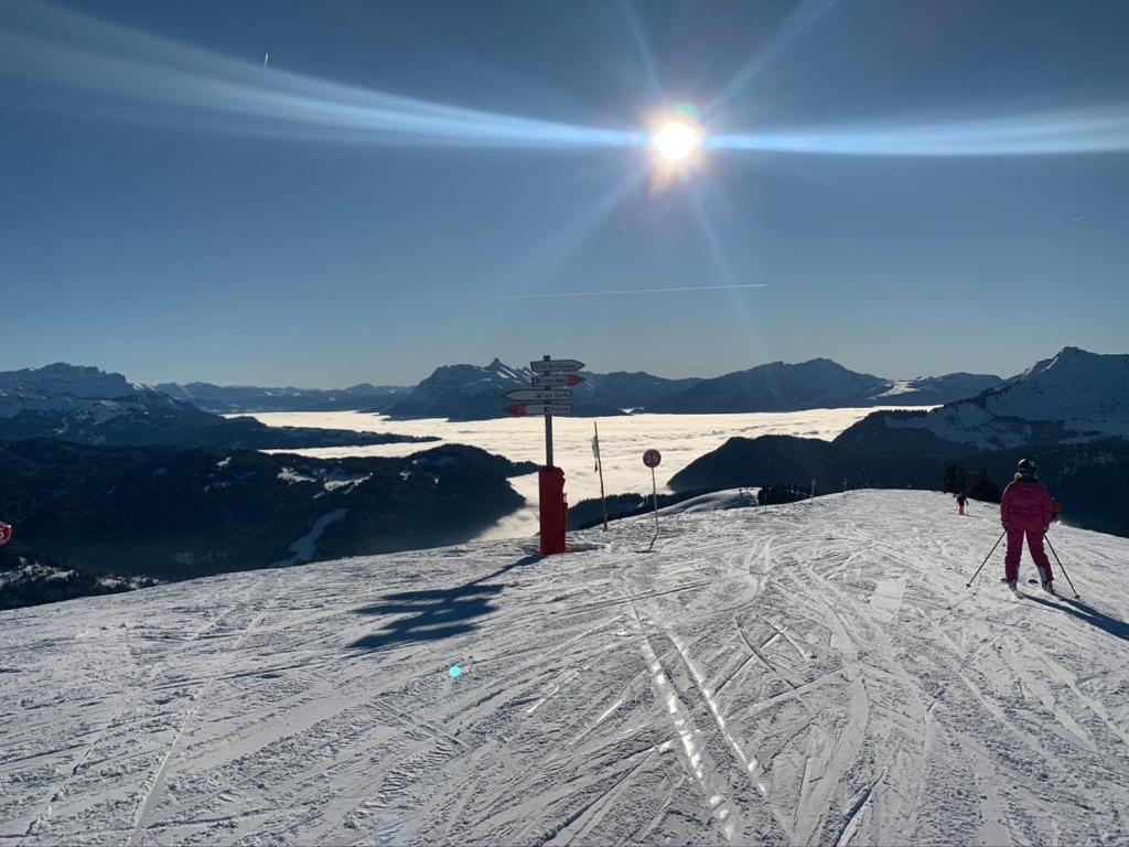 La Chanterelle - Mountain Lodge La Cote d'Arbroz ภายนอก รูปภาพ