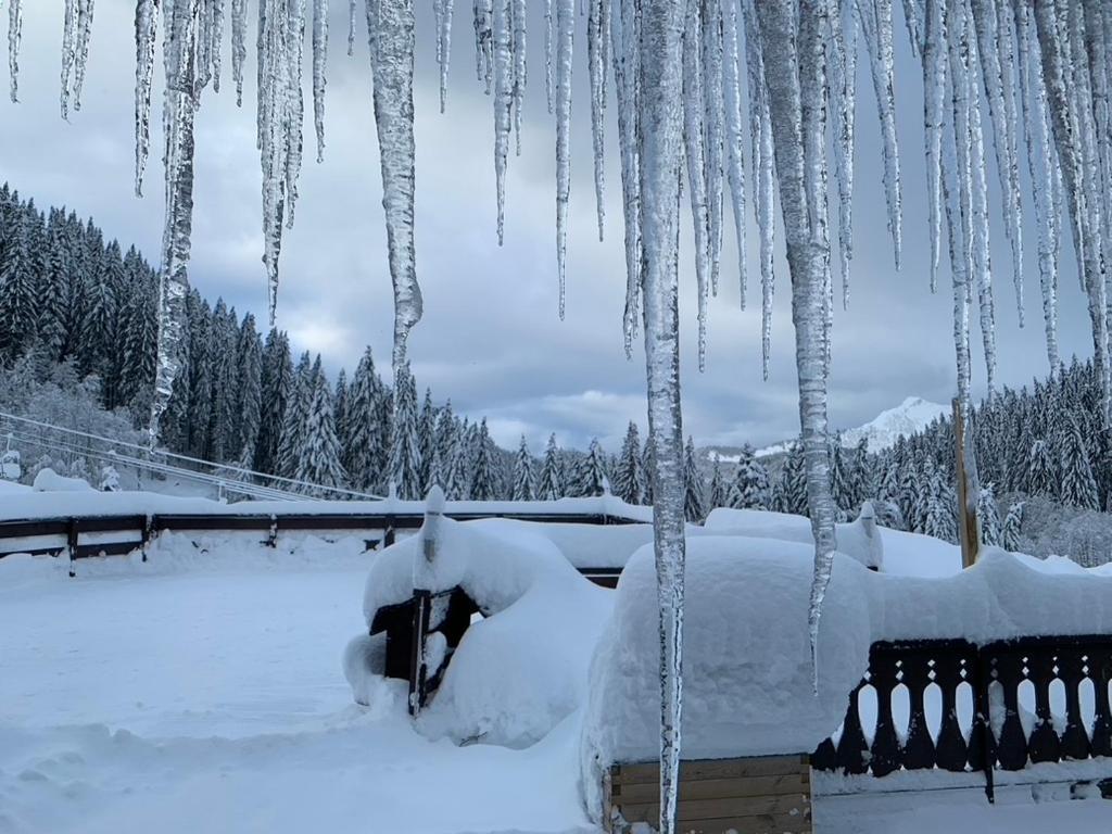 La Chanterelle - Mountain Lodge La Cote d'Arbroz ภายนอก รูปภาพ