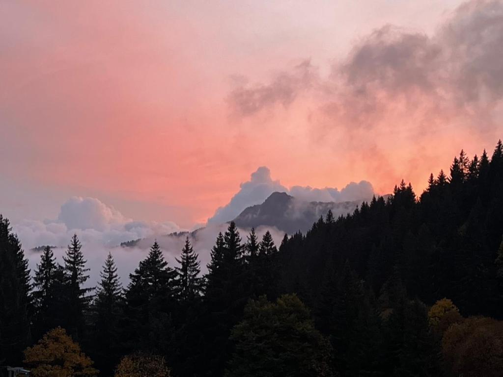 La Chanterelle - Mountain Lodge La Cote d'Arbroz ภายนอก รูปภาพ