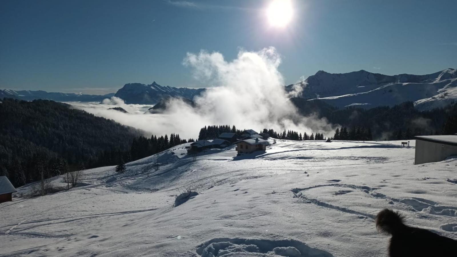 La Chanterelle - Mountain Lodge La Cote d'Arbroz ภายนอก รูปภาพ