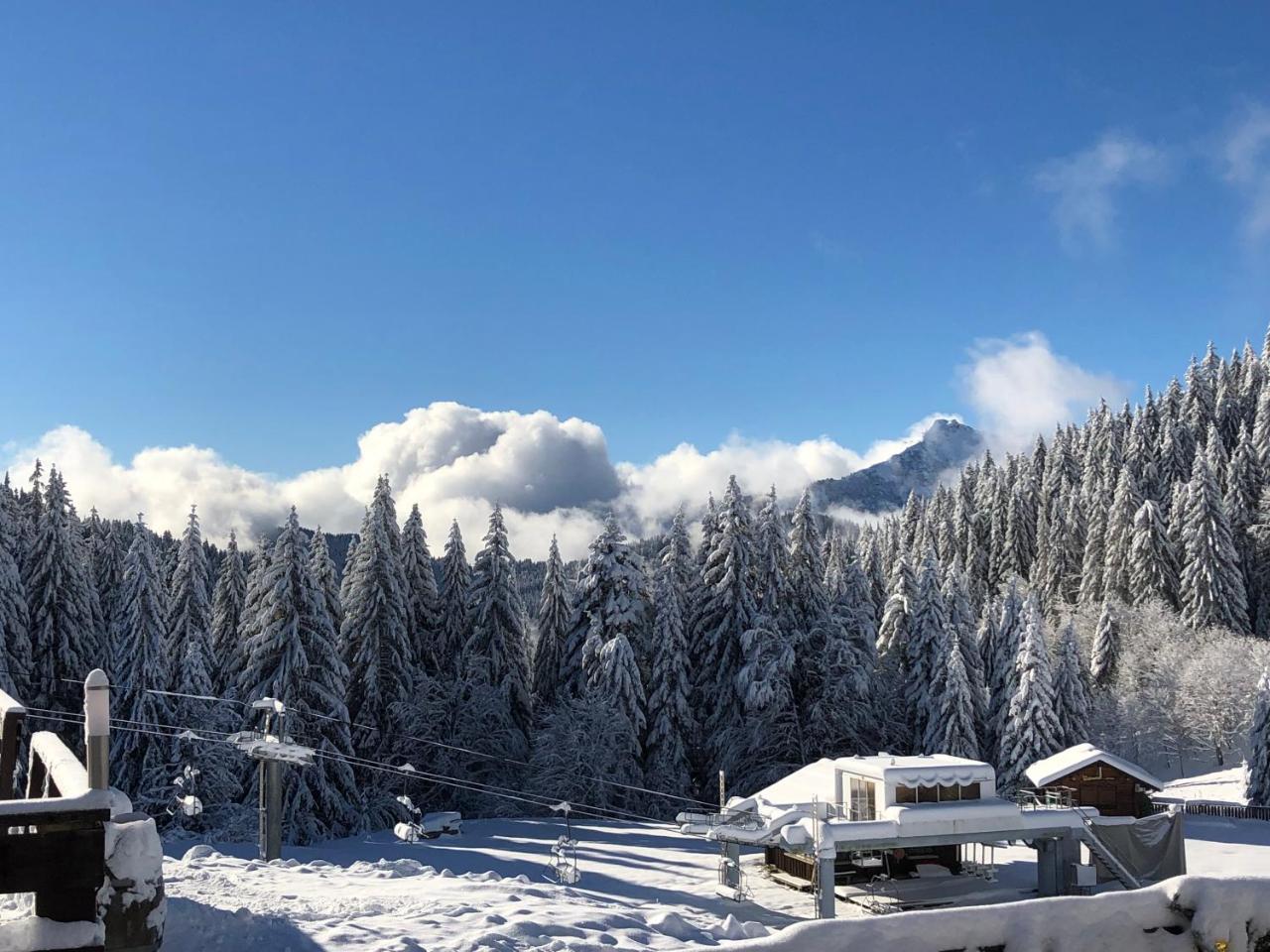 La Chanterelle - Mountain Lodge La Cote d'Arbroz ภายนอก รูปภาพ